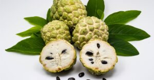 Fresh Organic Filipino Custard Apple or Atis