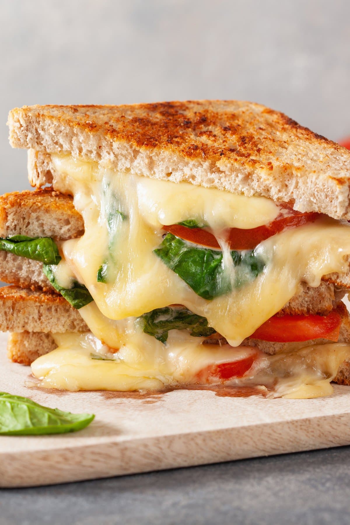 Layer of Sliced in Half Grilled Cheese Sandwich Made with Tomatoes, Lettuce and Melted Cheese