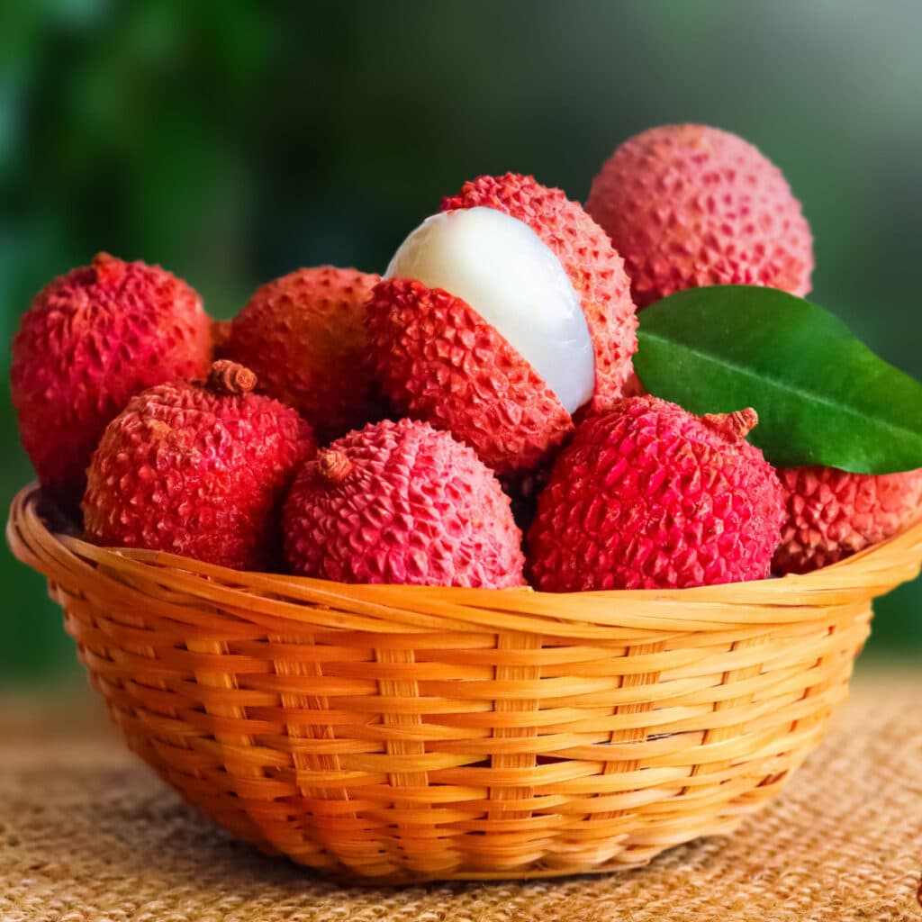 Basket Full of Fresh Lychees