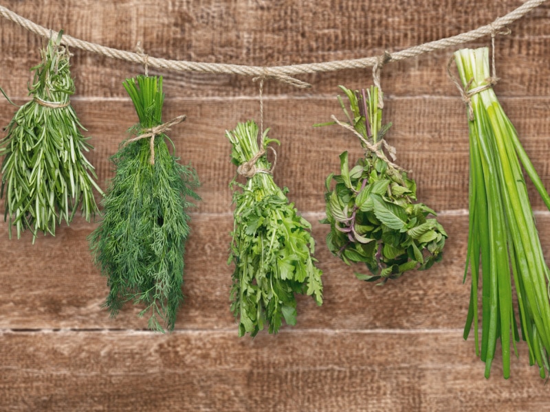 Marjoram, Chives, Dill, Parsley, Oregano Hang for Drying