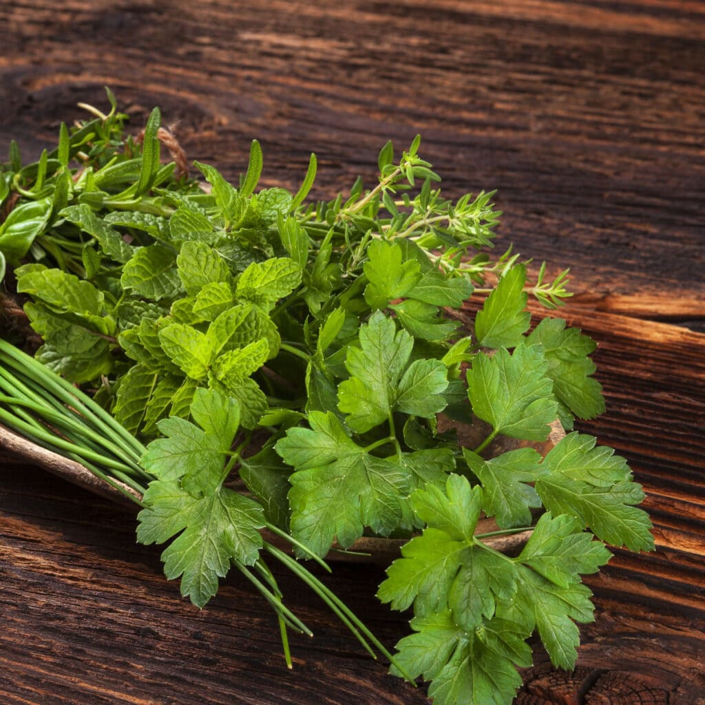 Marjoram and Parsley on a Wooden Table