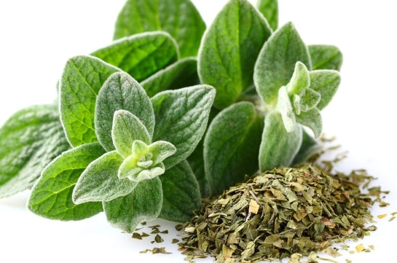 13 Substitutes for Oregano (Best Alternatives)