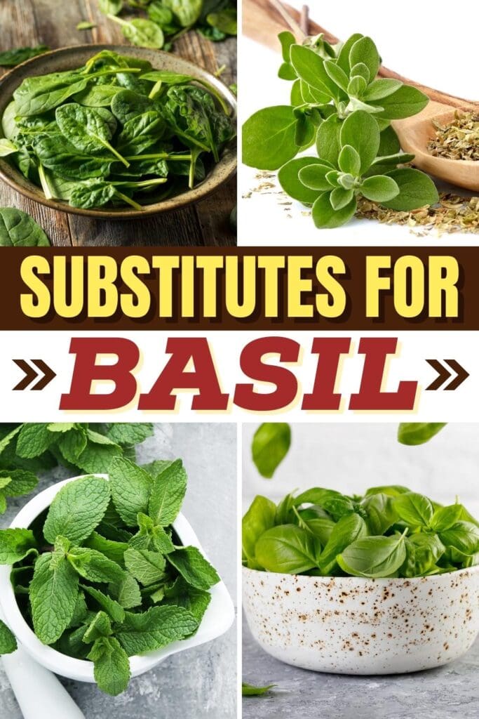 Substitutes for Basil