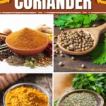 Substitutes for Coriander