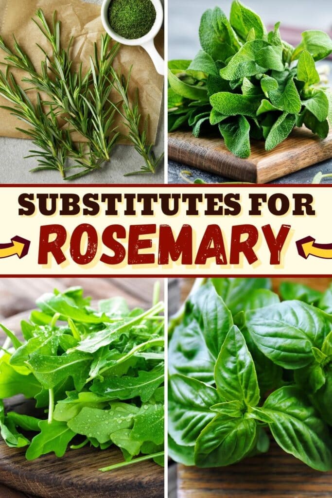 Substitutes for Rosemary