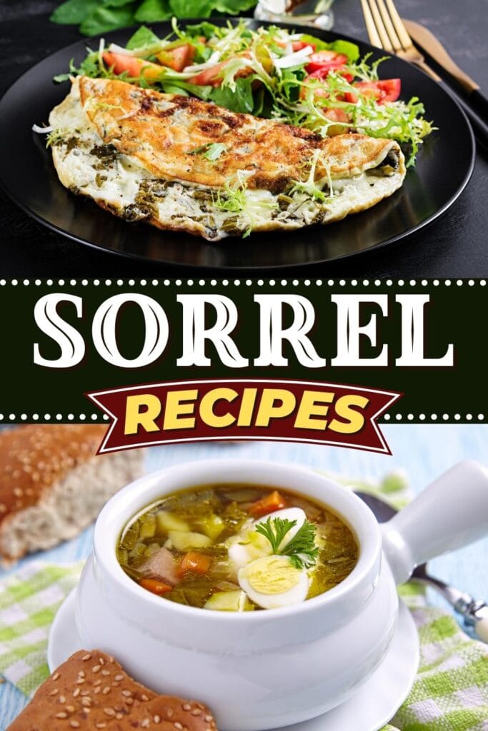 Sorrel Recipes