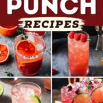 Vodka Punch Recipes