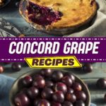 Concord Grape Recipes