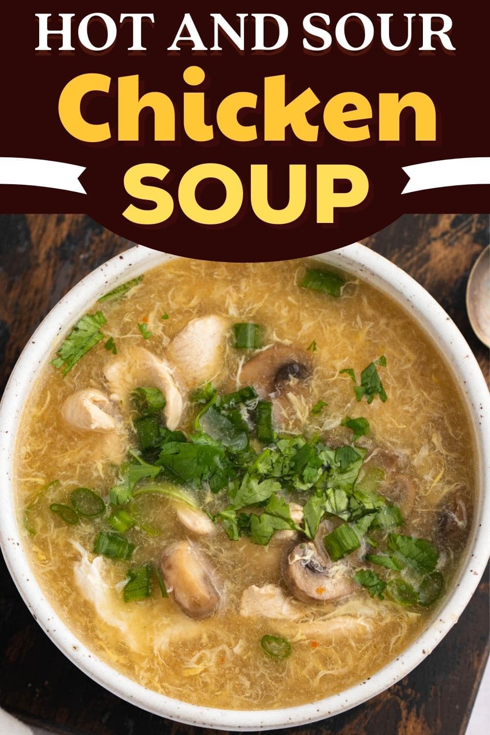 Hot and Sour Chicken Soup