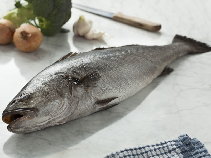 Raw and Fresh Corvina Fish on a Table