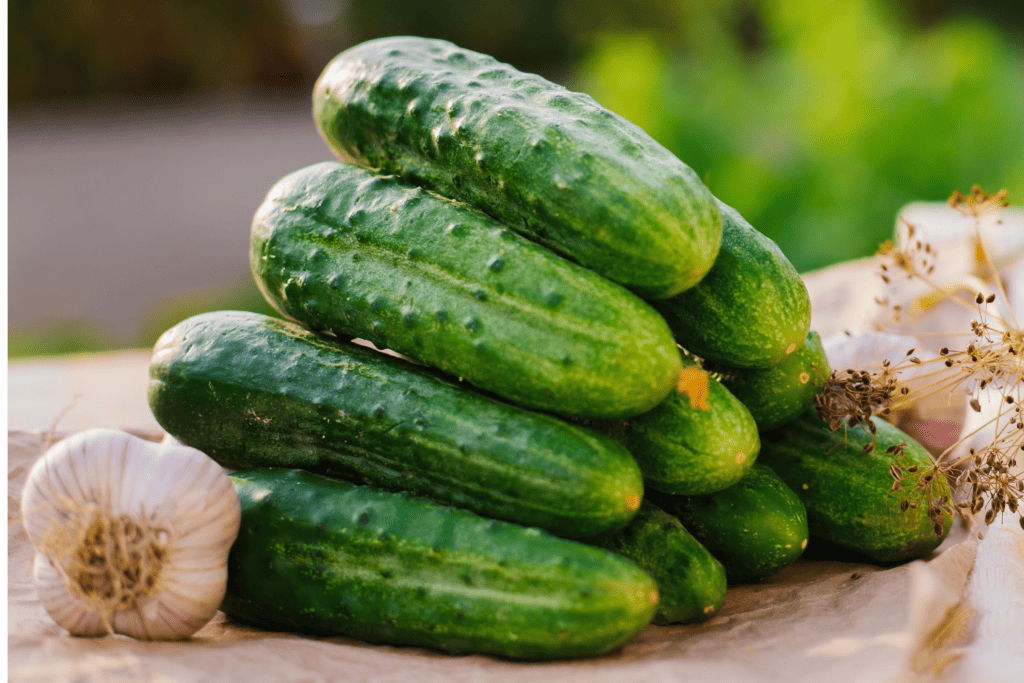 Bunch of Garden Cucumbers on a Parchment Paper