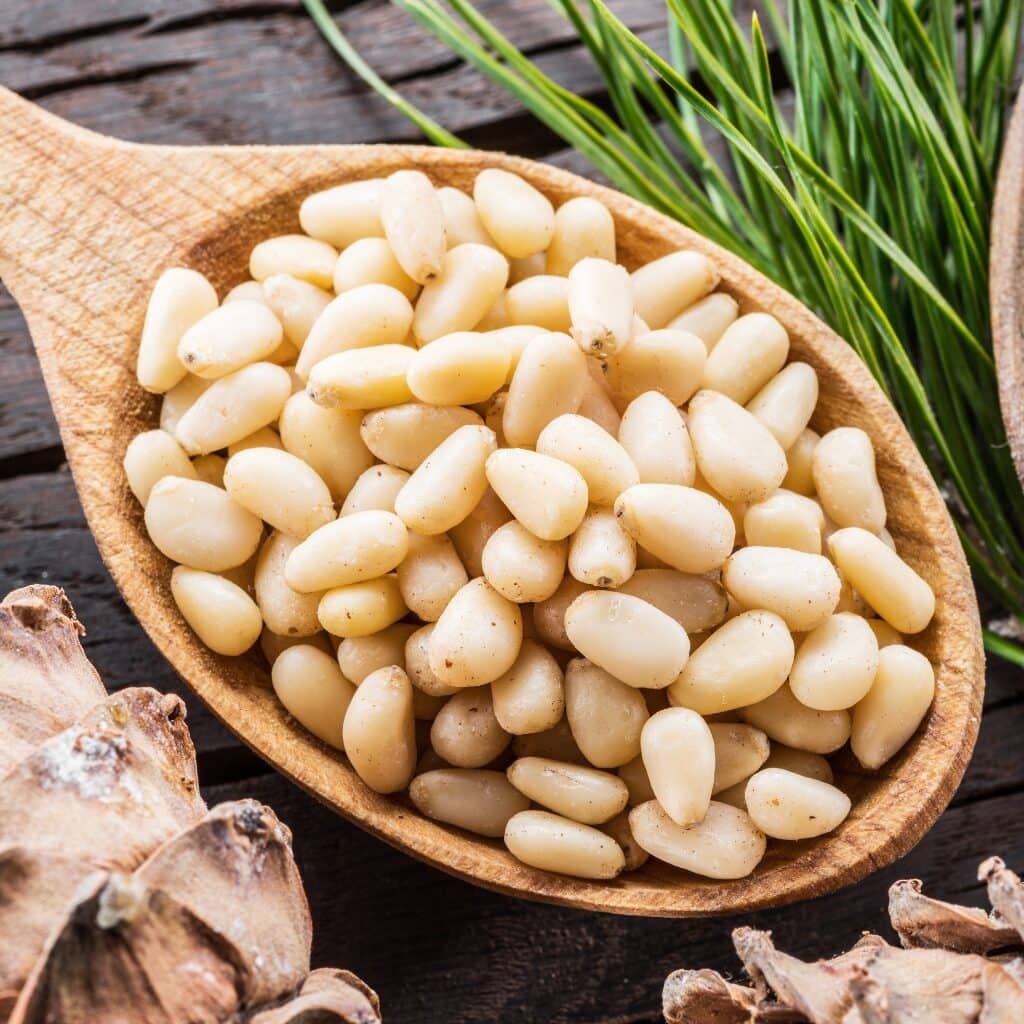 Organic Pine Nuts in a Wooden Spoon