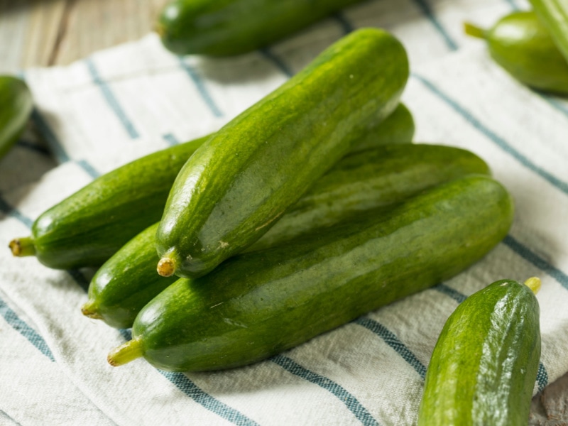 Persian Cucumbers on Top of a Kitchen Towel