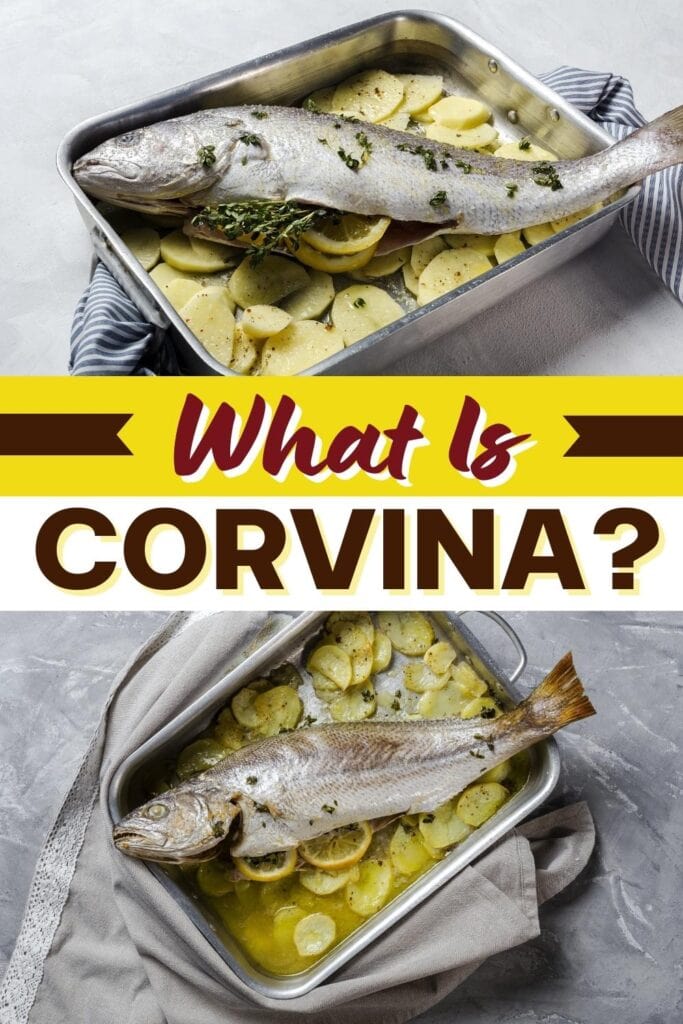 What Is Corvina?