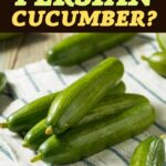 What is a Persian Cucumber