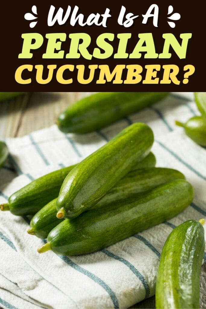 What is a Persian Cucumber
