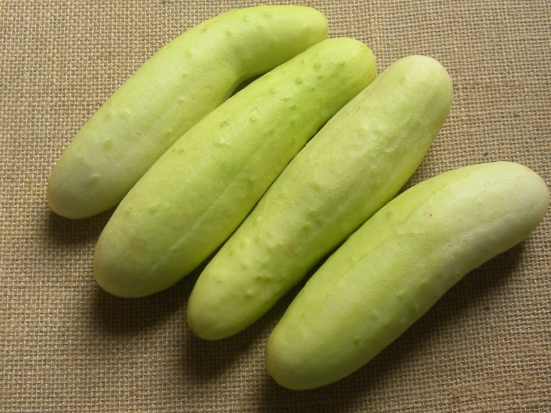 Four White Cucumbers on a Rustic Cloth