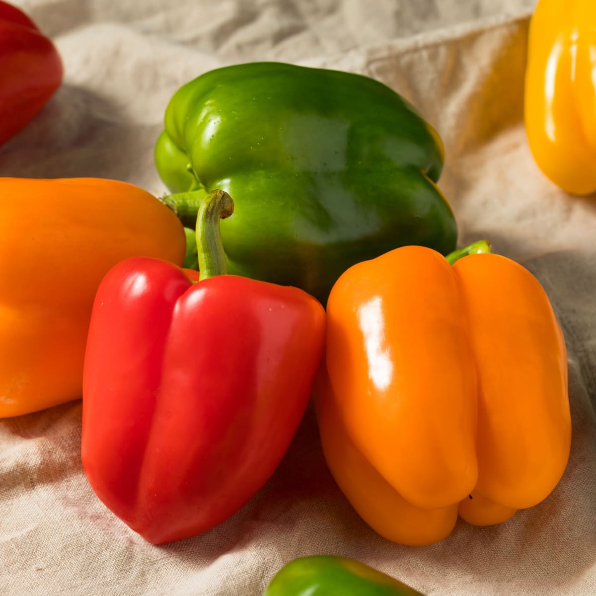 Raw Red Green and Yellow Bell Peppers on a Rustic Cloth