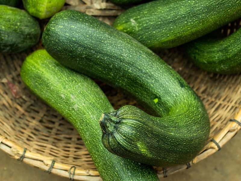 Cousa Squash in a Woven Basket