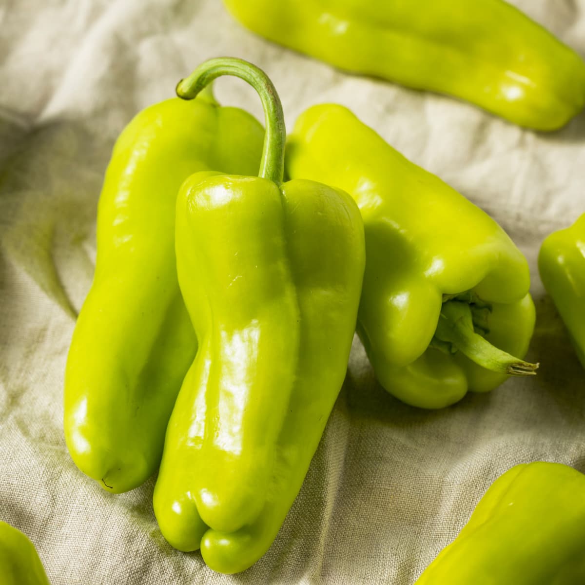 Raw Organic Green Cubanelle Peppers on a Rustic Cloth