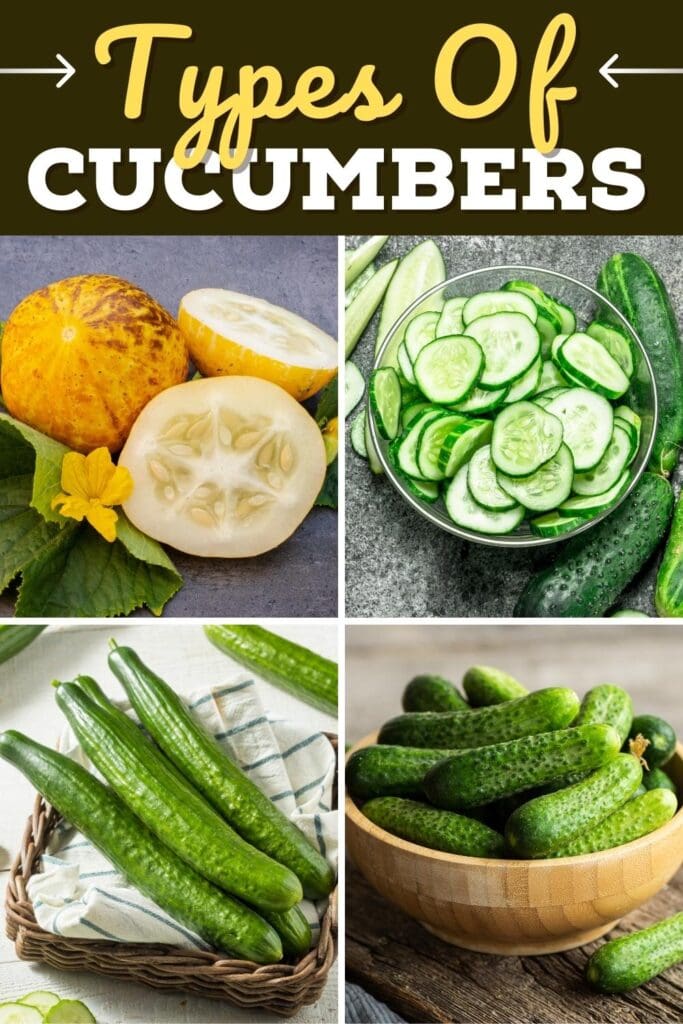 Types of Cucumbers