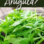 What is Arugula