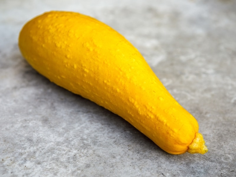 Yellow Straightneck Squash