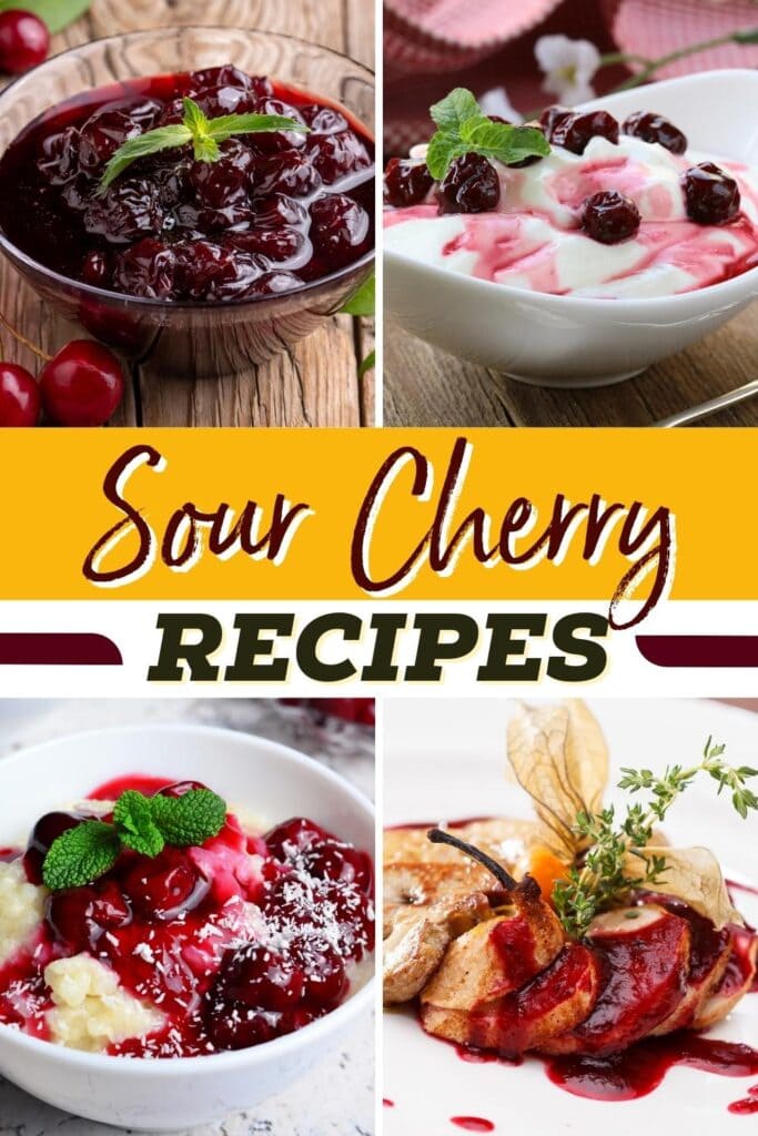 Sour Cherry Recipes