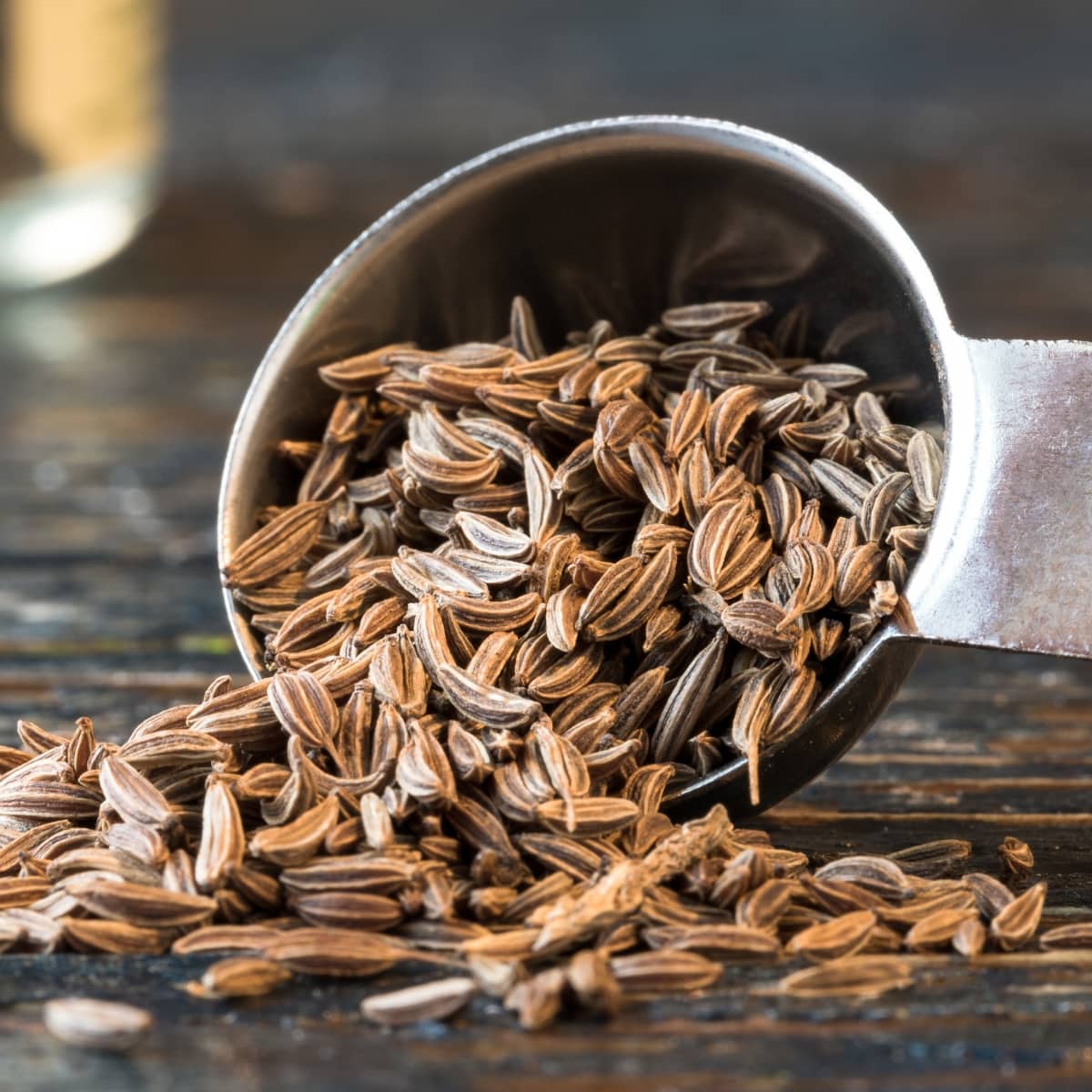 Caraway Seeds on a Small Scooper