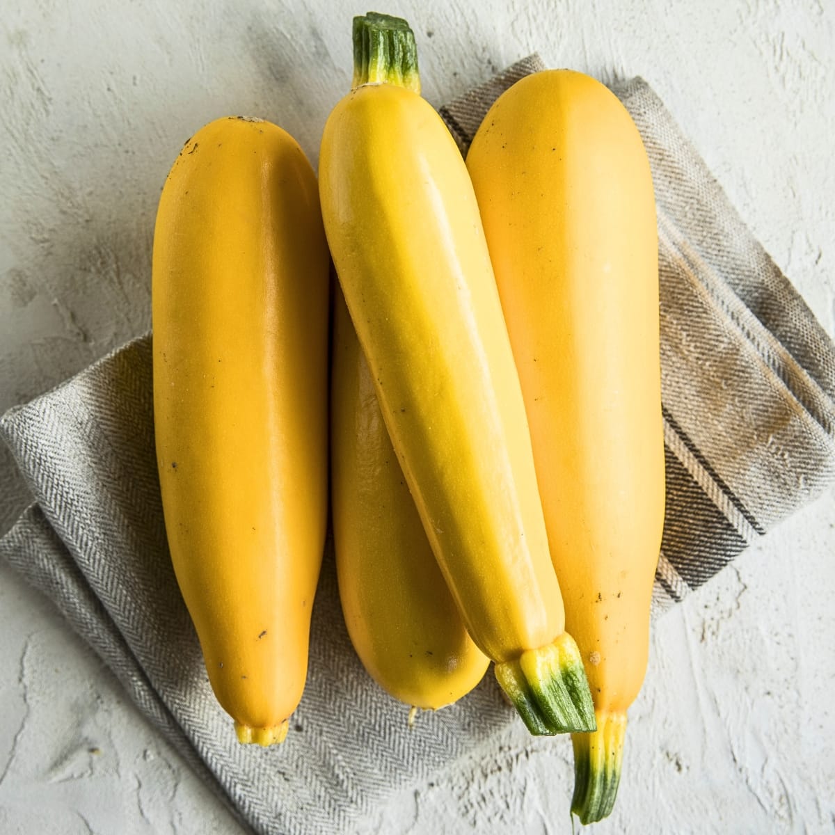 Fresh Summer Squash