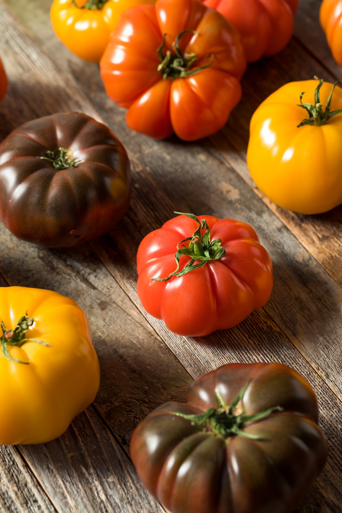 Raw Organic Red, Yellow, Orange and Almost Black Heirloom Tomatoes