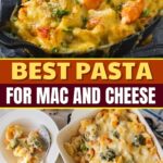 Best Pasta for Mac and Cheese