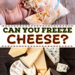 Can You Freeze Cheese?