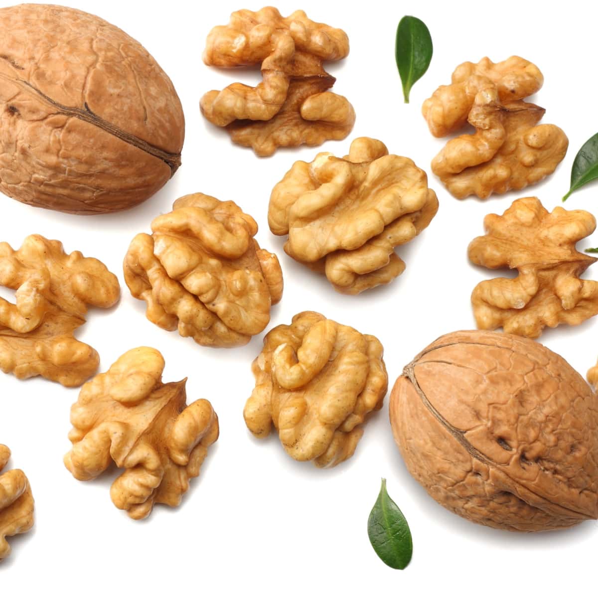 Raw Organic Walnuts on a White Background