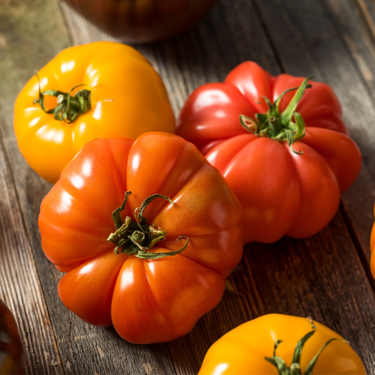 Raw Organic Yellow, Red and Orange Heirloom Tomatoes