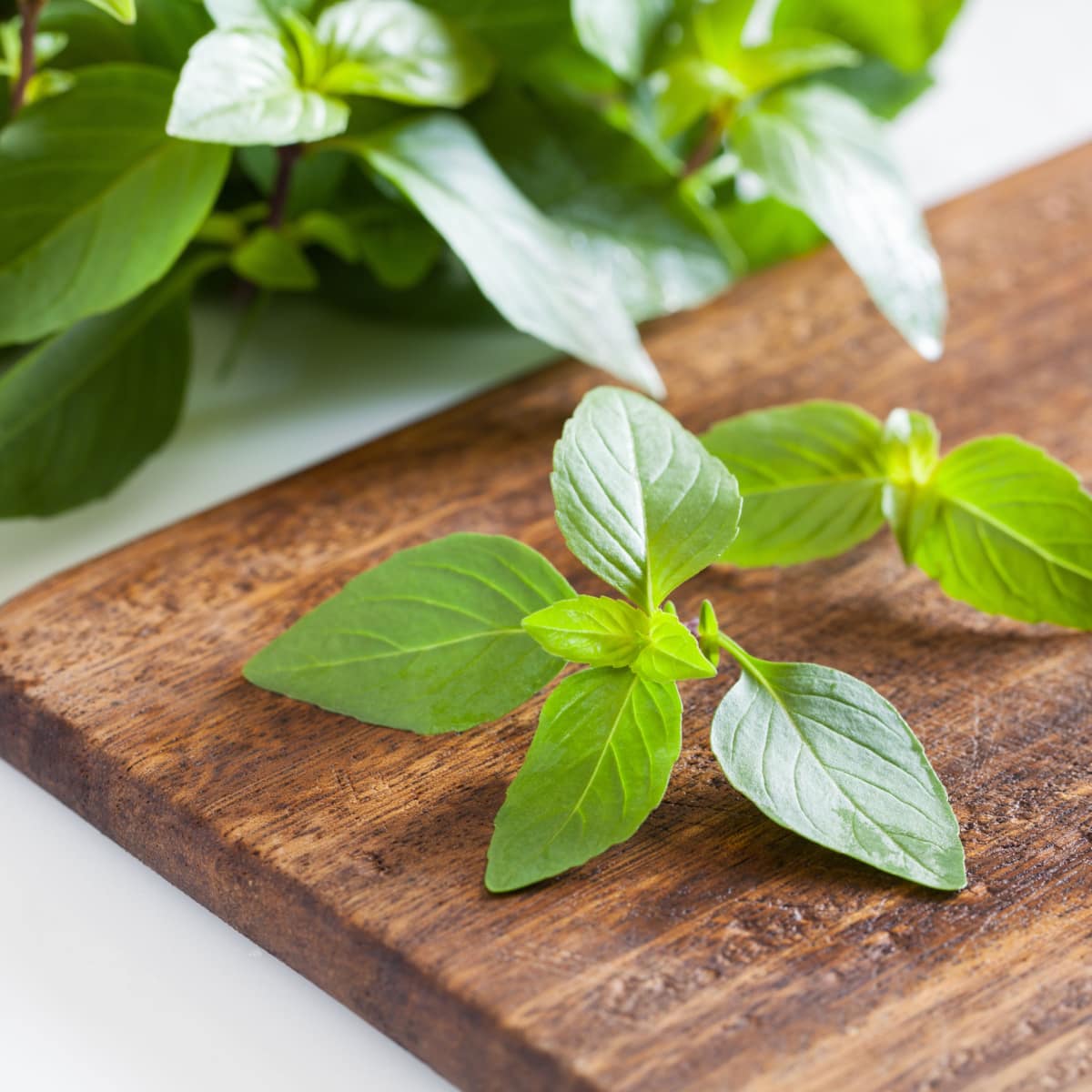 Fresh Thai Basil on a wooden cutting board