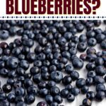 Can You Freeze Blueberries?