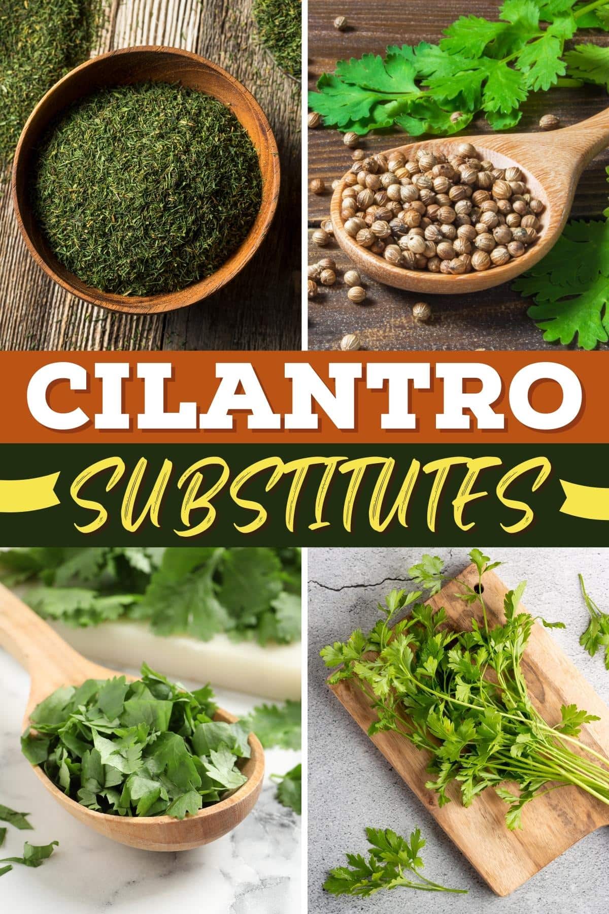 Cilantro Substitutes