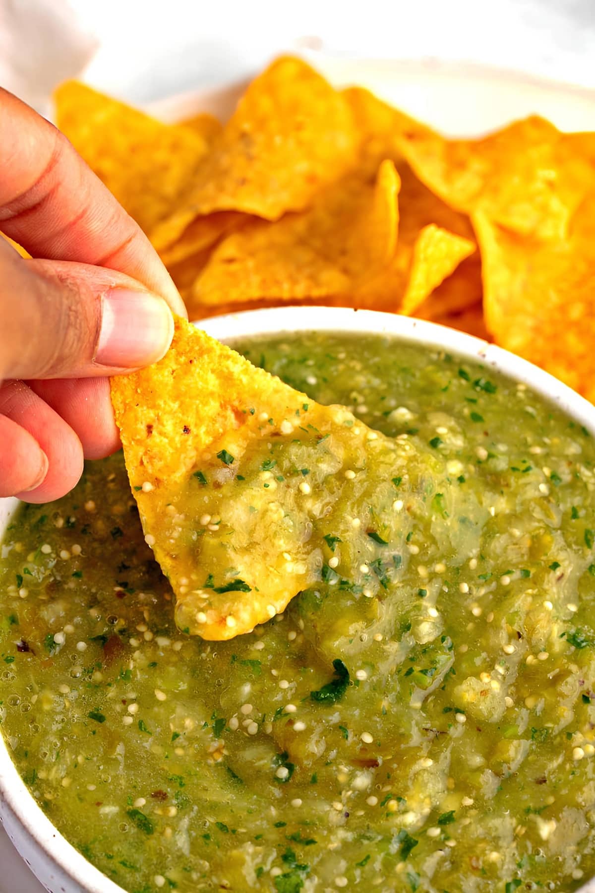 Nachos Dip in Salsa Verde