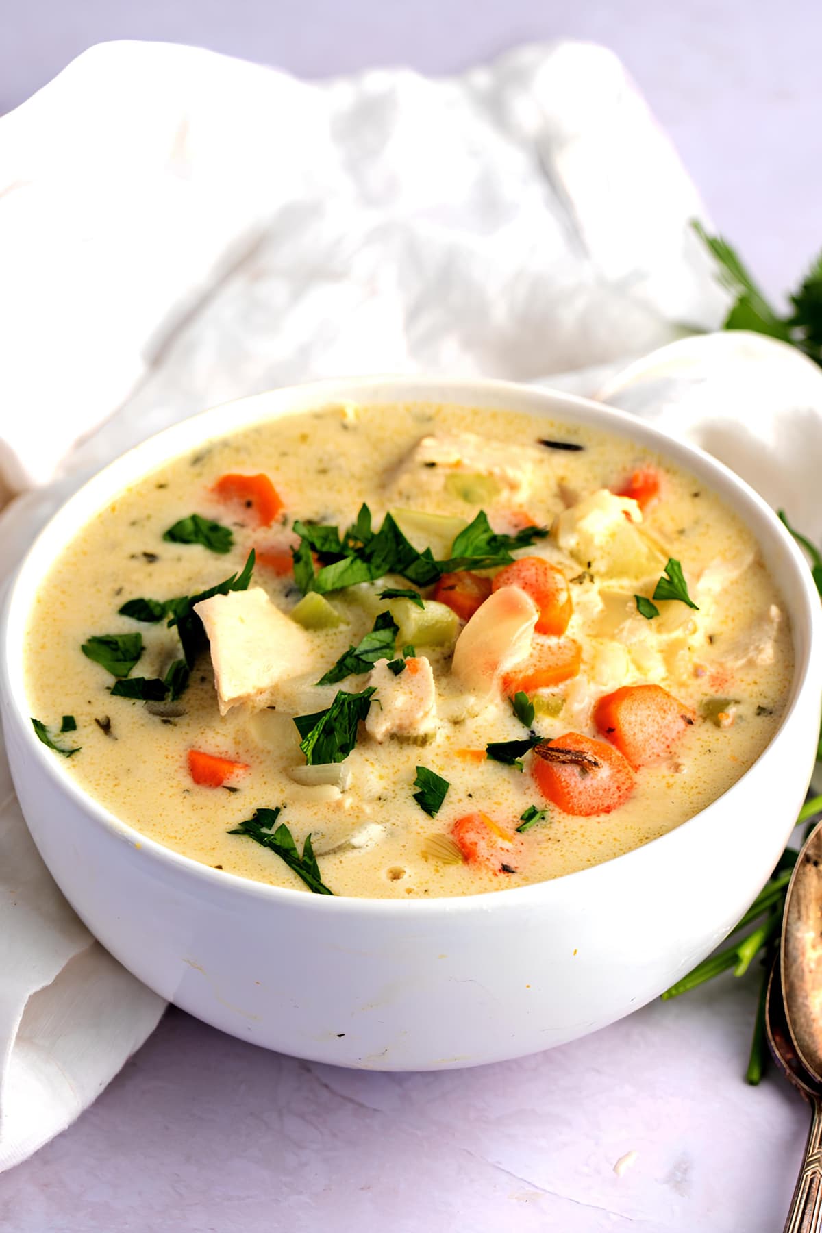 Bowl of Chicken and Wild Rice Soup with Carrots, Celery and Onions.