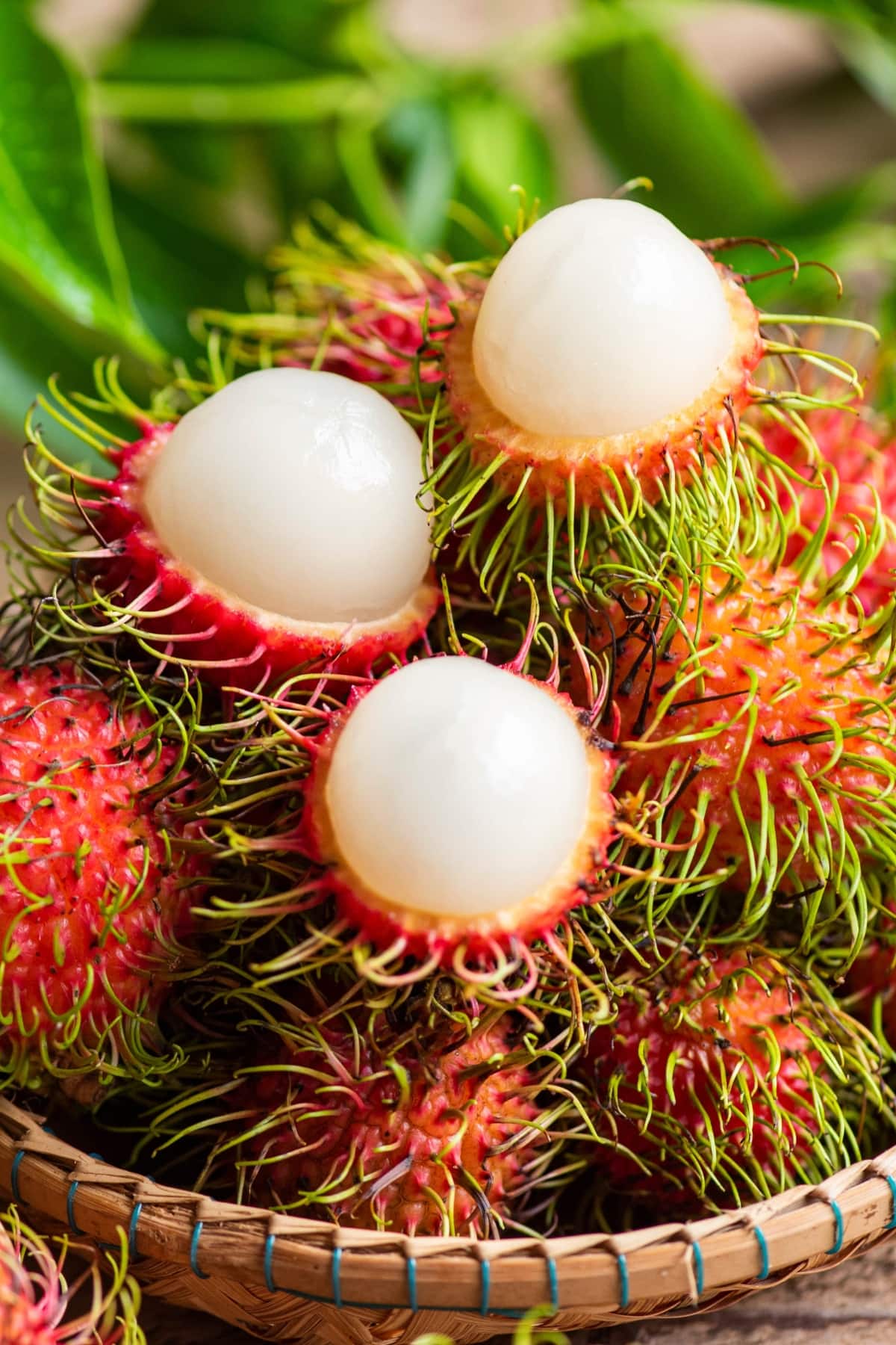 A Basket of Rambutan Fruit