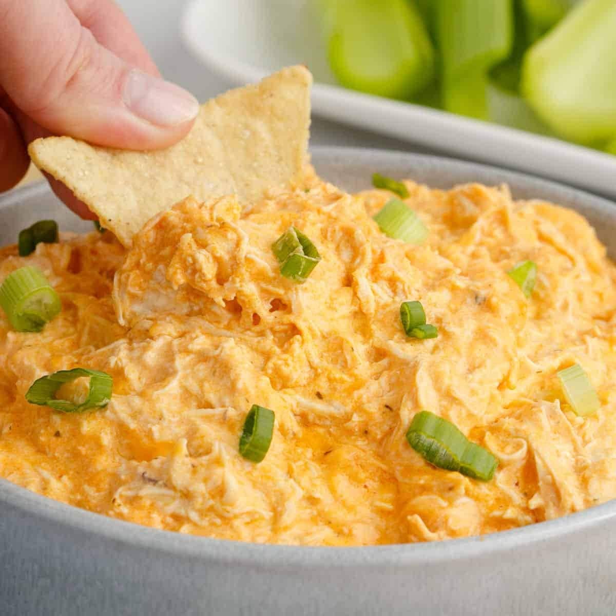 Nachos dipped on a bowl of homemade Buffalo Chicken Dip