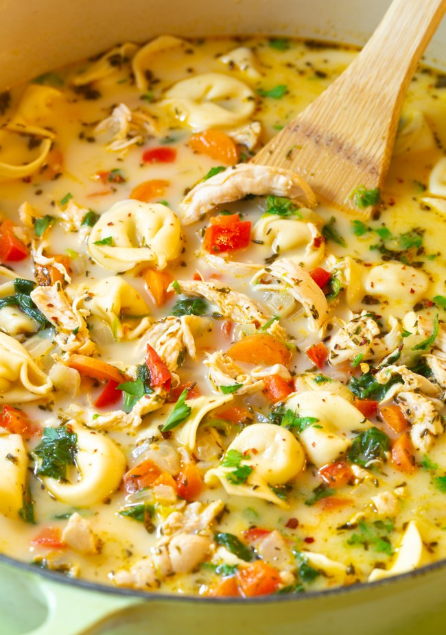 Chicken tortellini soup on a bowl with shredded chicken and soft veggies.