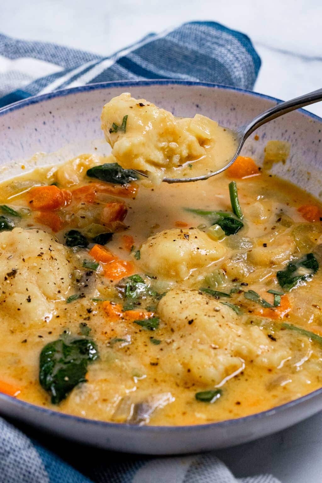 Bowl of homemade Vegan Stew with Dumplings with thinly sliced carrots, celery,  white mushrooms and baby spinach