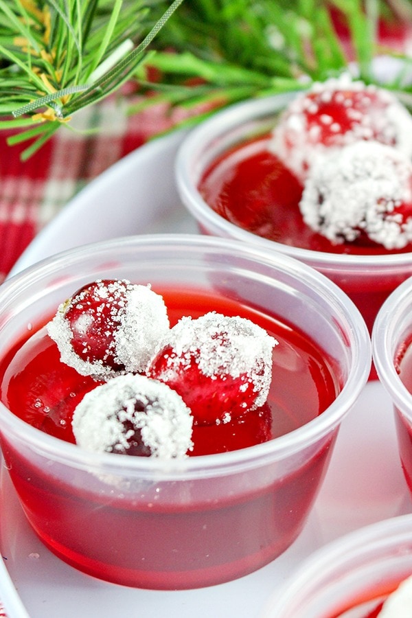 Cranberry Jello shots on plastic cups garnished with sugar coated cranberries. 