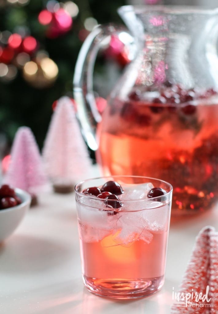 Iced serving of holiday punch with cranberry garnish.