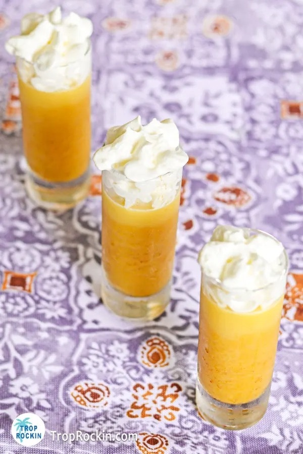Pumpkin Jello shots on shot glasses topped with whipped cream. 