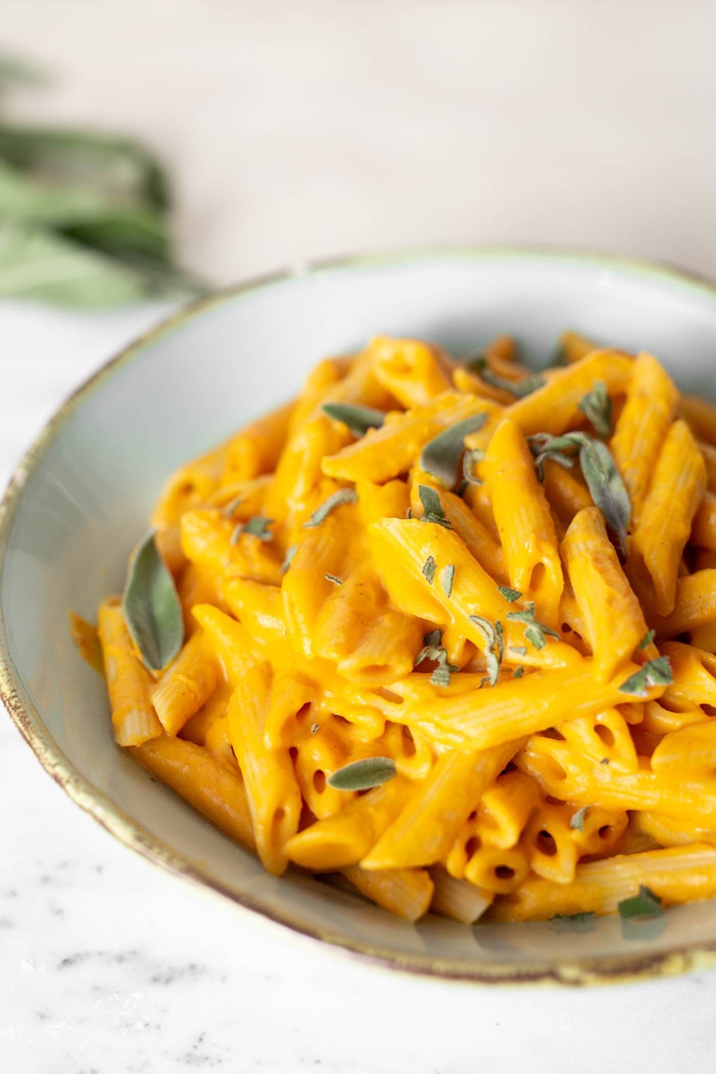 Penne pasta in pumpkin sauce. 