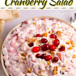 Creamy Cranberry Salad