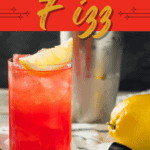 Sloe Gin Fizz Cocktail Recipe